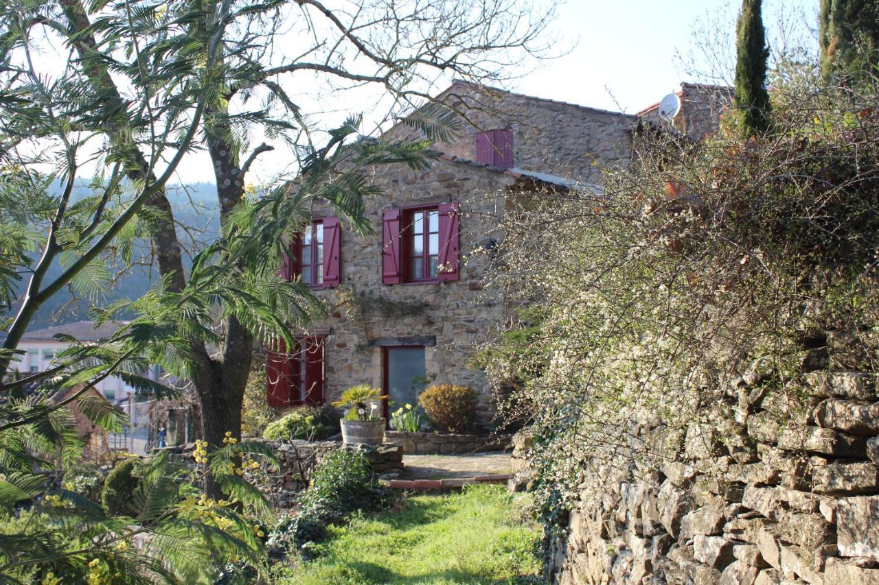Le Pailler De La Planque Apartamento Camplong Exterior foto