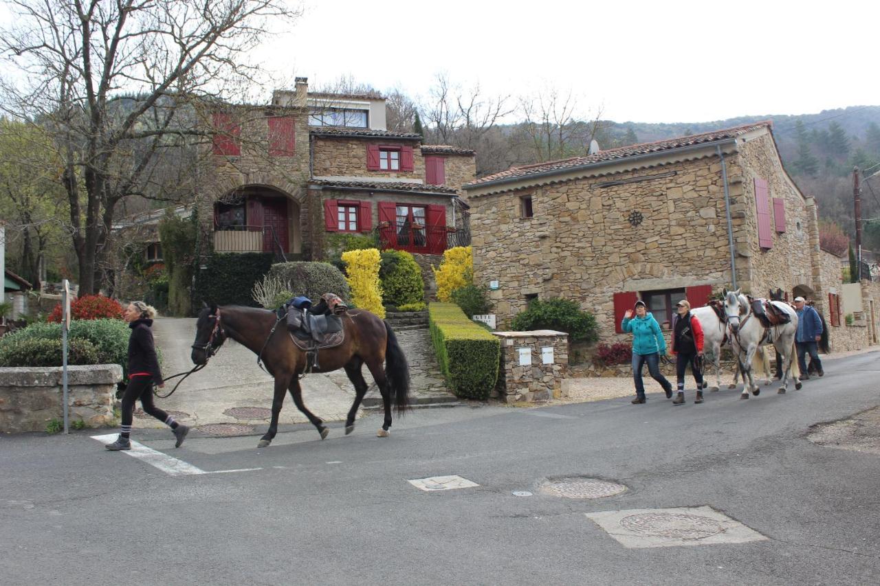 Le Pailler De La Planque Apartamento Camplong Exterior foto